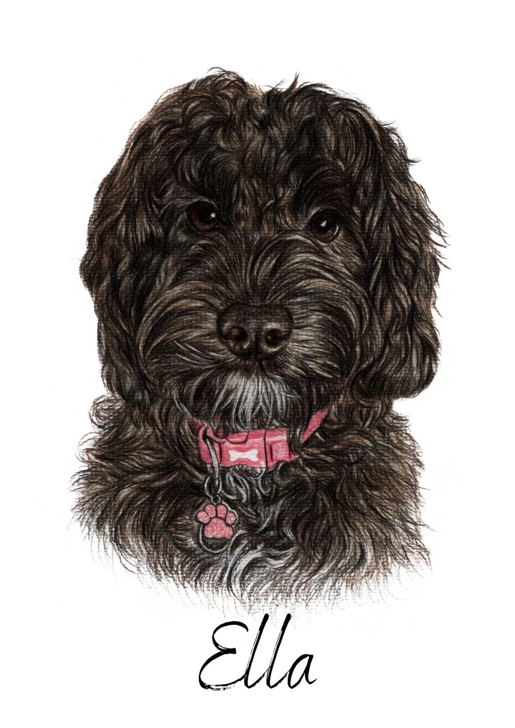 Pet Portraits by Charlie's Drawings AU