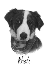 Load image into Gallery viewer, Pet Portraits by Charlie&#39;s Drawings AU