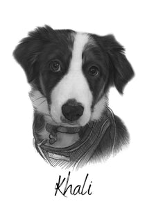 Pet Portraits by Charlie's Drawings AU