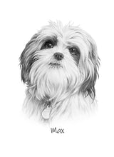 Load image into Gallery viewer, Pet Portraits by Charlie&#39;s Drawings AU
